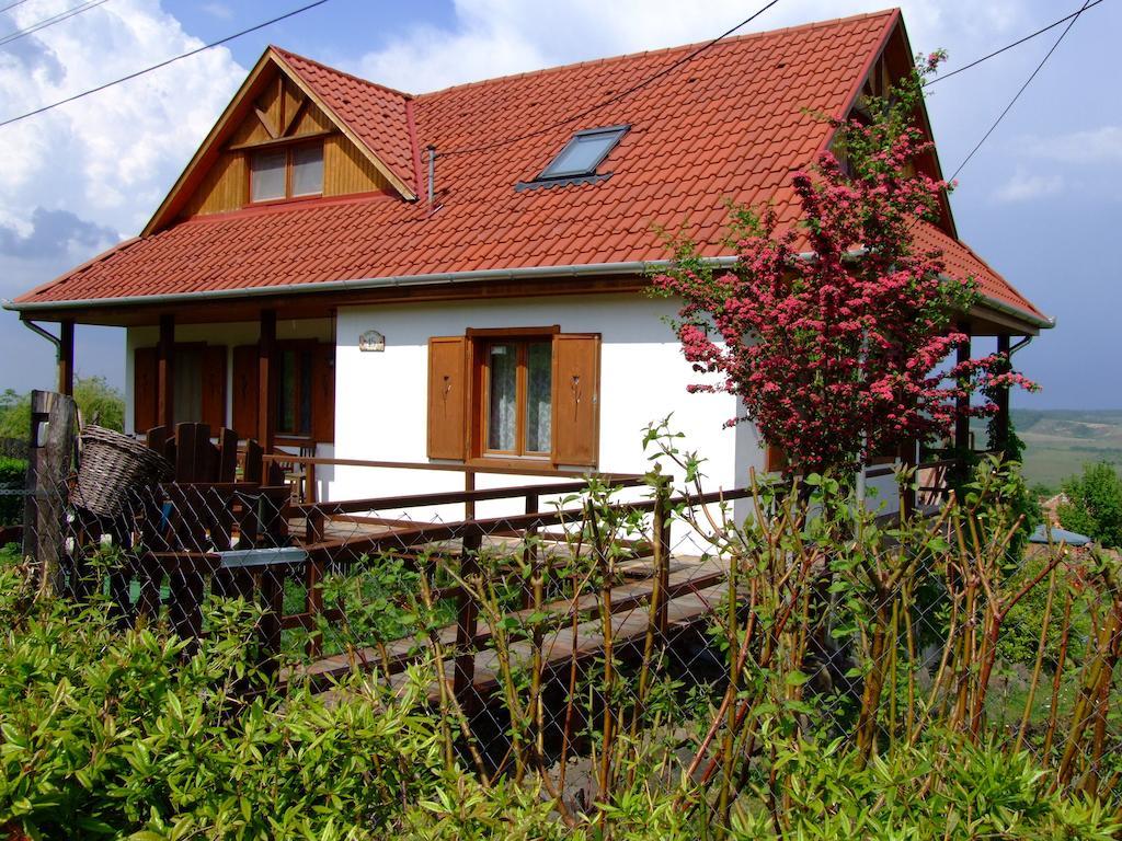 Kalaris Vendeghaz Apartment Holloko Exterior photo