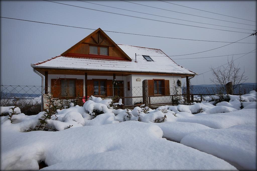 Kalaris Vendeghaz Apartment Holloko Exterior photo