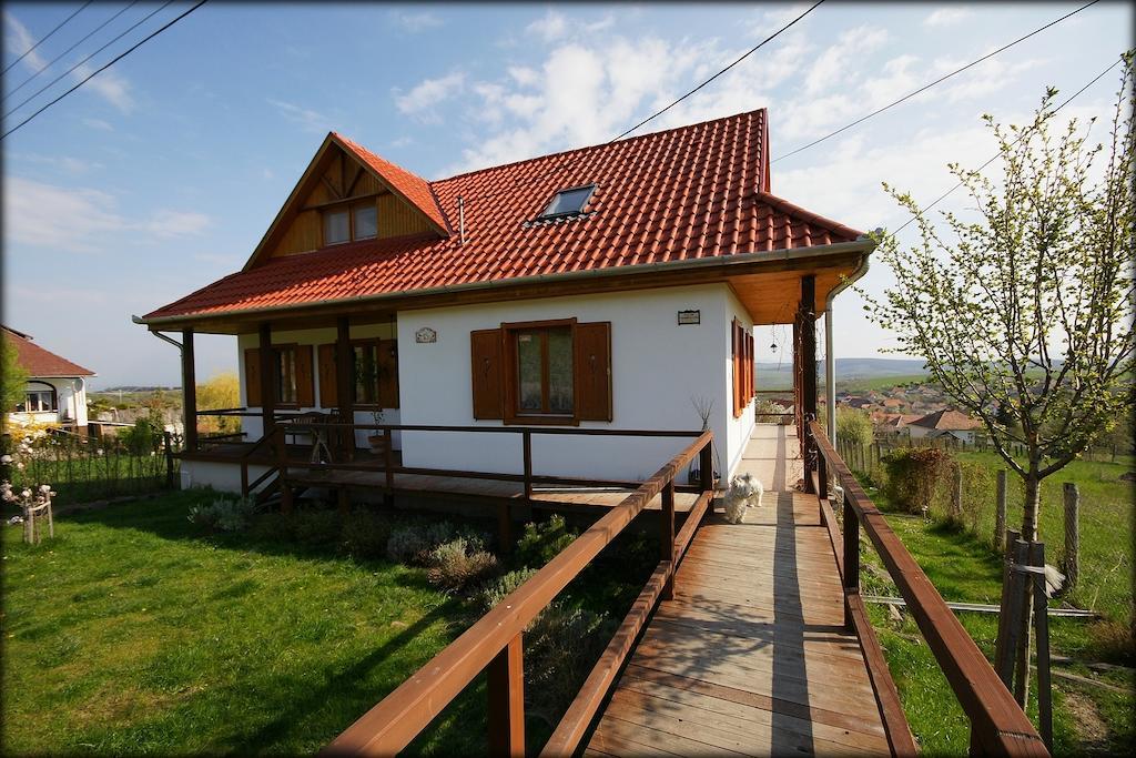 Kalaris Vendeghaz Apartment Holloko Exterior photo